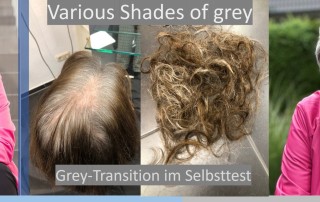 Headerbild Portraits Nicole Dornberger Grey Transition